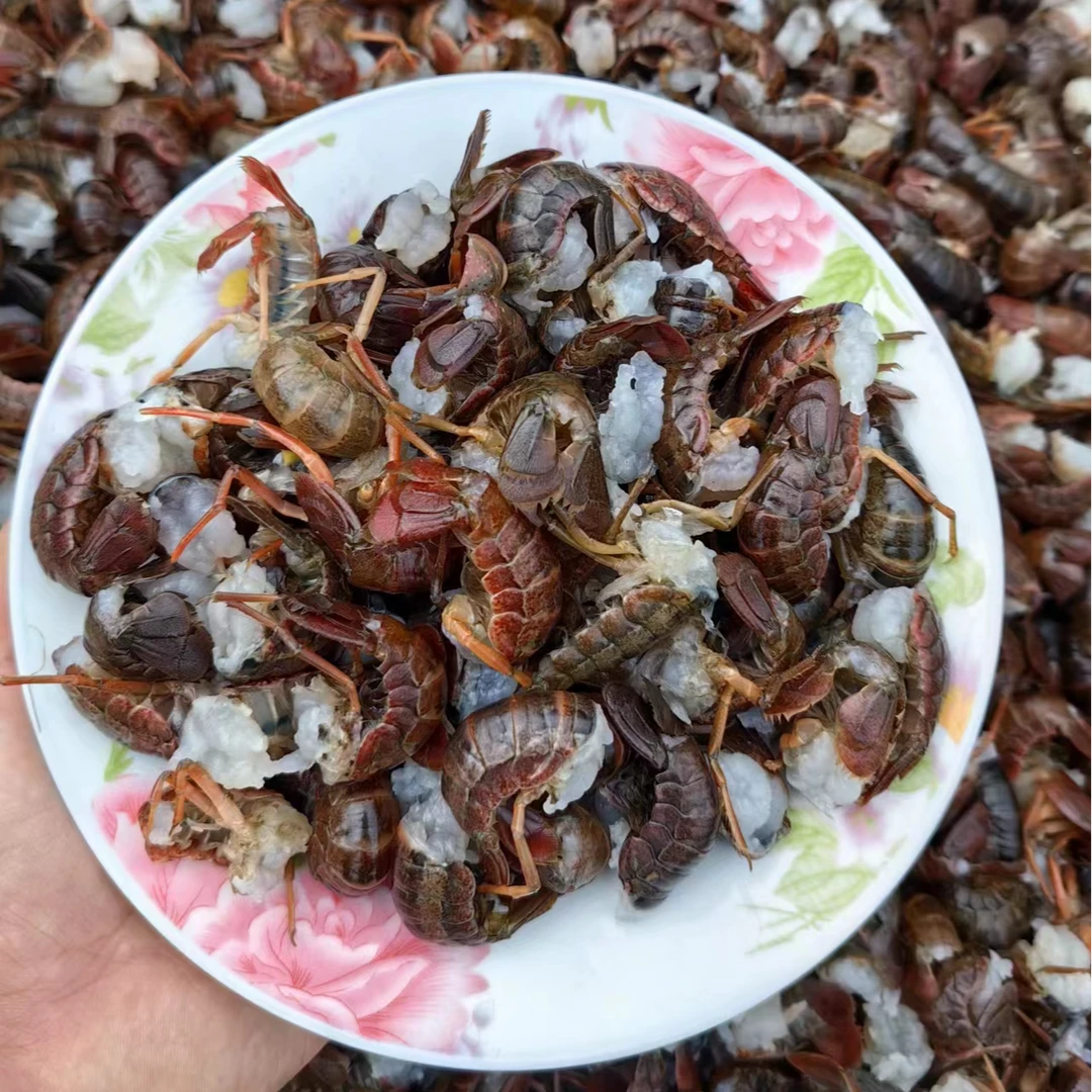 湖北现剥小龙虾尾2包3包顺丰包邮.