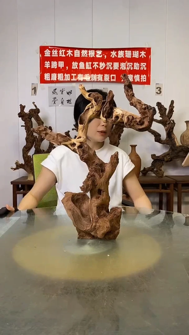 香榧木柯*金丝红木   羊蹄甲