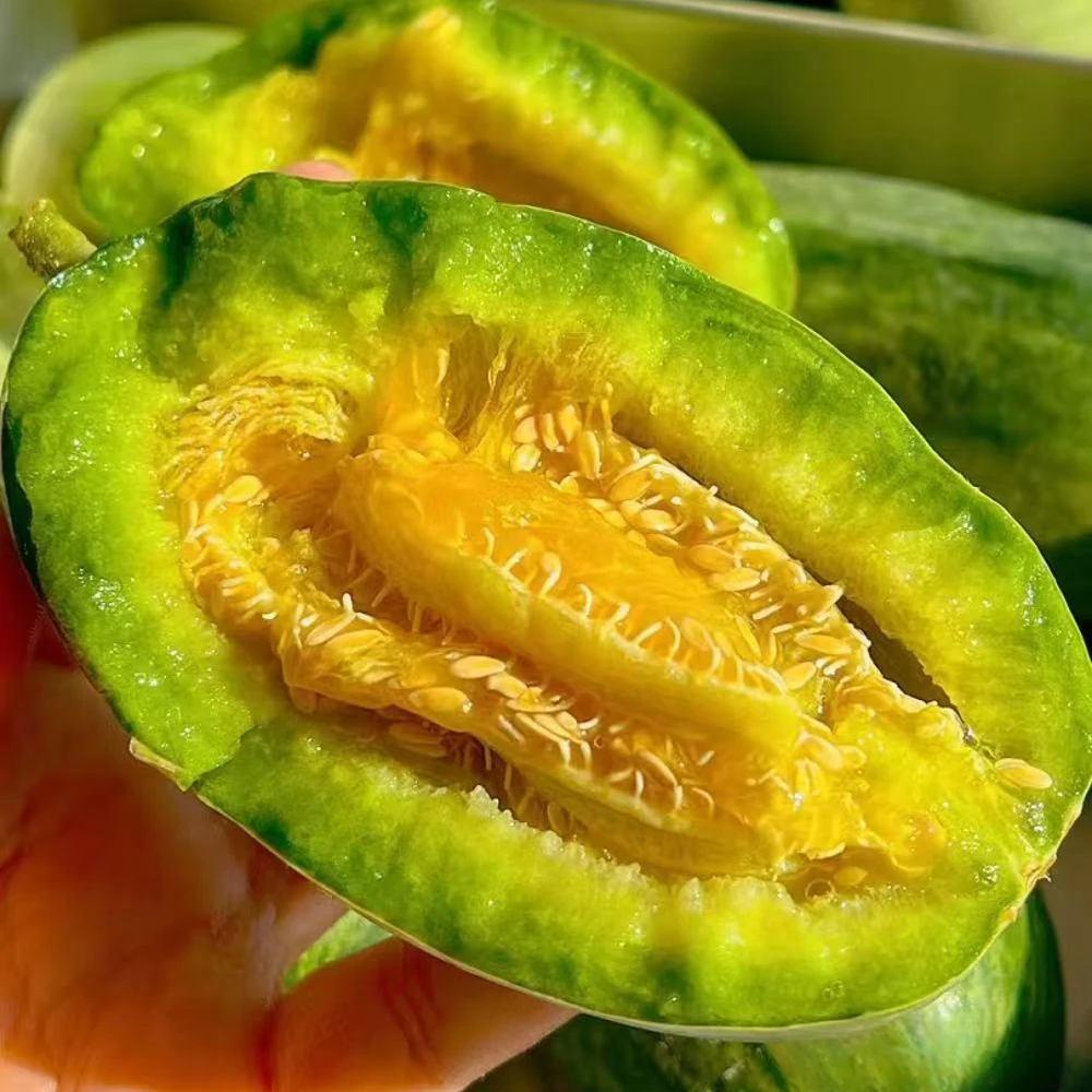 【脆甜多汁】山东头茬羊角蜜 新鲜采摘 蜜瓜香瓜 产地直发 净5斤