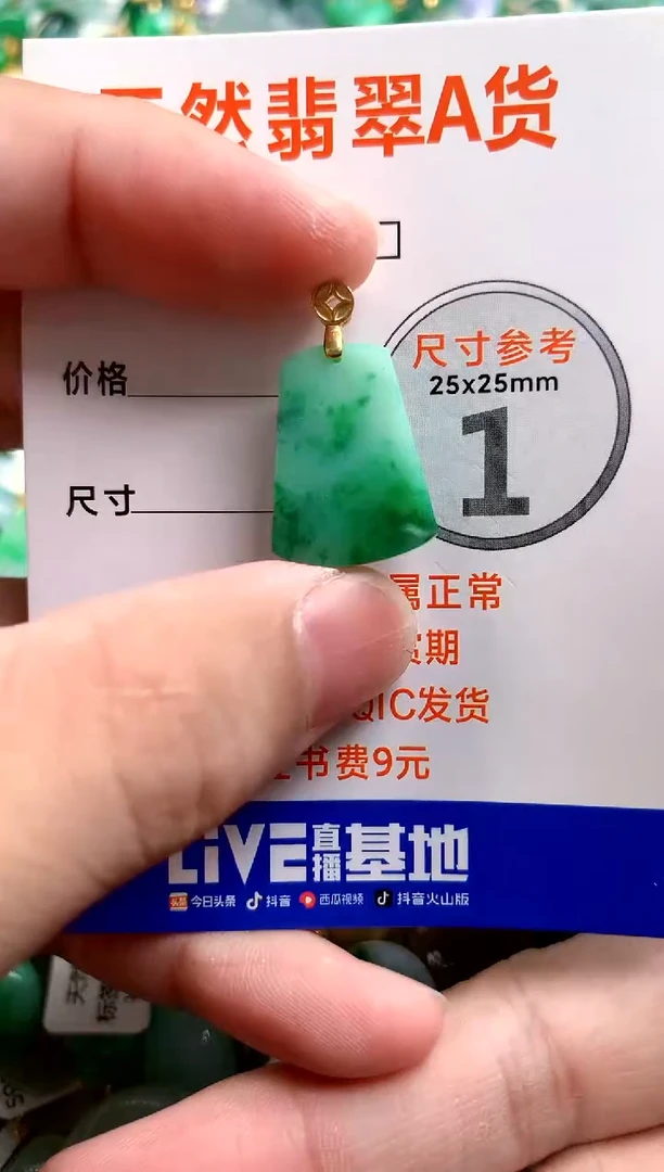 颈饰未镶嵌翡翠14006669