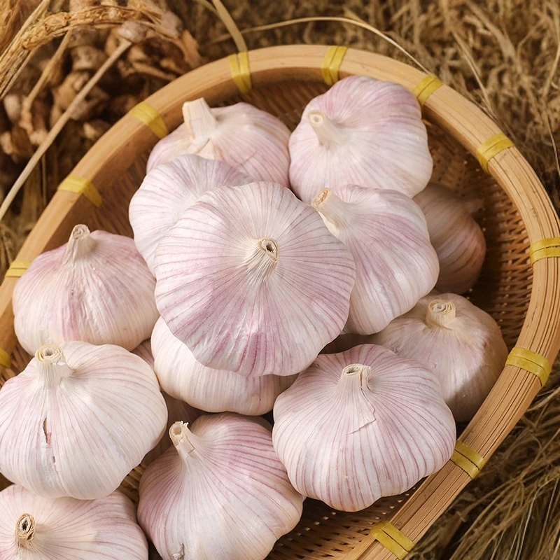 【新店冲量】农家新鲜大蒜头干蒜5斤紫白皮蒜100g起包邮非紫皮蒜