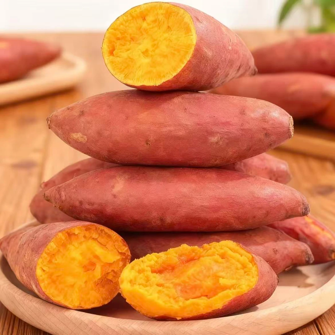 [沙地黄心蜜薯]软糯香甜糖心红薯新鲜超甜番薯地瓜山芋批发价