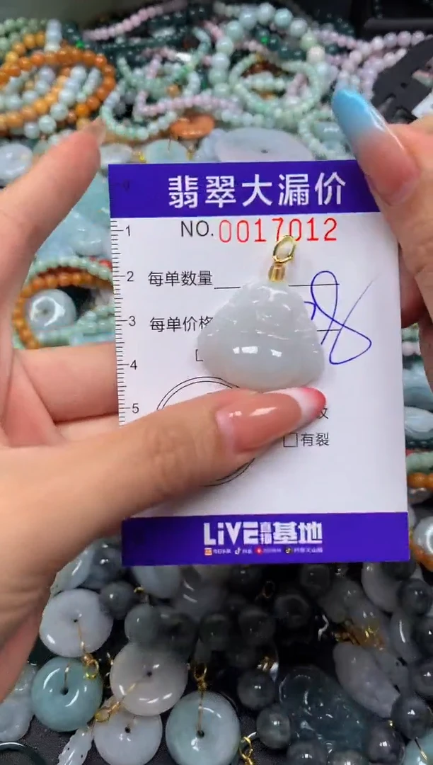 翡翠未镶嵌颈饰闪购0017012