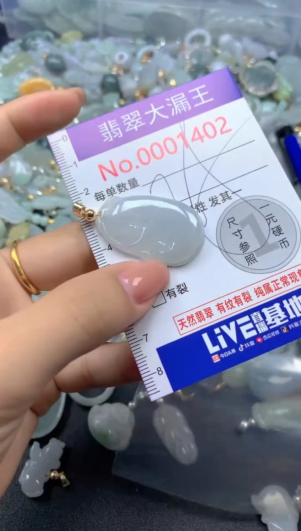 颈饰未镶嵌翡翠1402