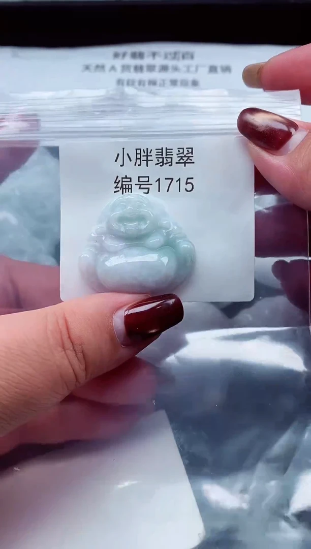 颈饰未镶嵌翡翠缅甸天然A货翡翠1715