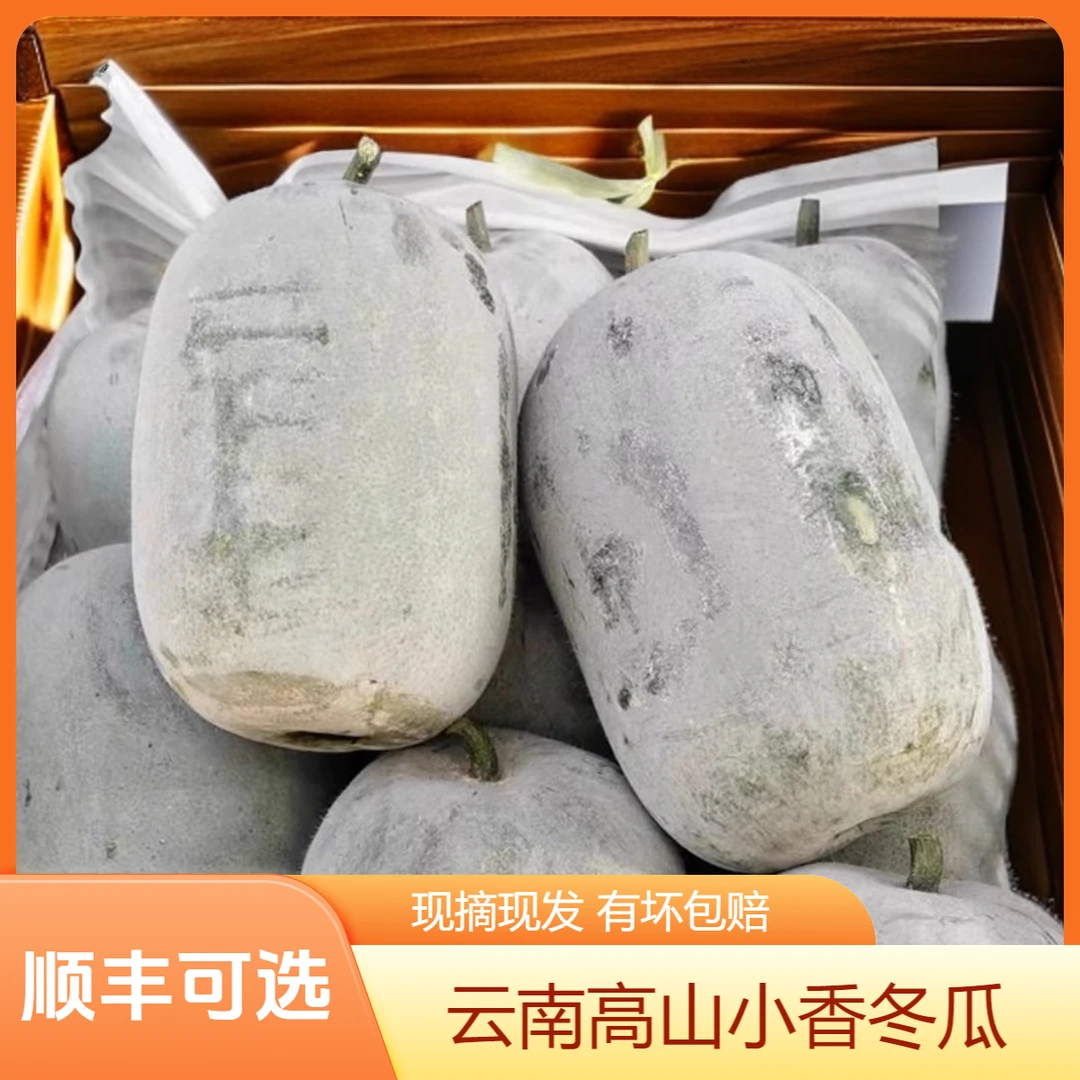 【顺丰可选】云南高山小香冬瓜冰川翠玉挂霜蜡粉高山糯面新鲜蔬菜