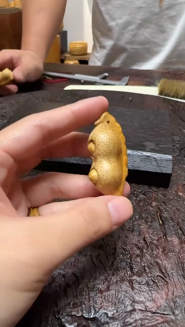 竹1815竹根竹根竹根豆