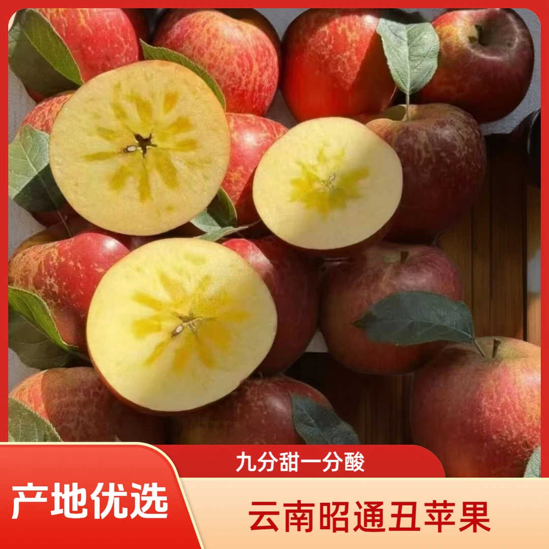 【现摘现发】当季糖心新鲜苹果 云南昭通丑苹果冰糖脆甜多汁