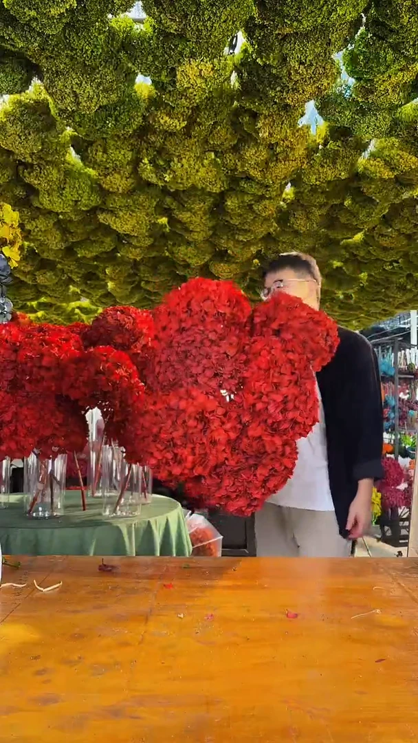 109  山前小麦 · 荷兰进口永生大叶绣球6枝（红）