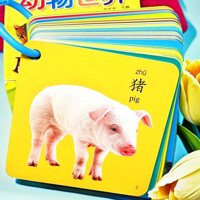 认知卡3-6岁新款创意儿童哑光加厚环保聪明双面数字游戏玩具聪明