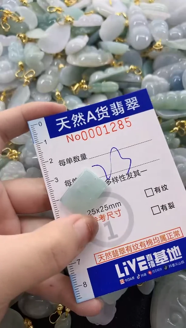 颈饰未镶嵌翡翠天然A货翡翠