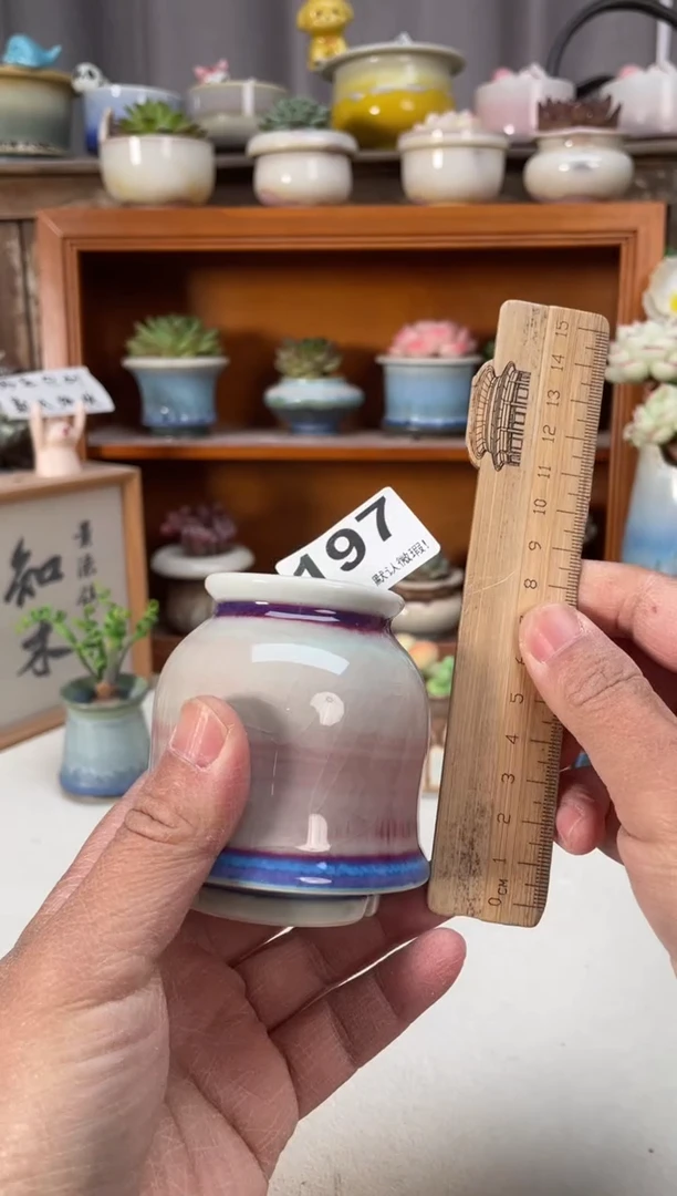 瓷片197小芳直播编号