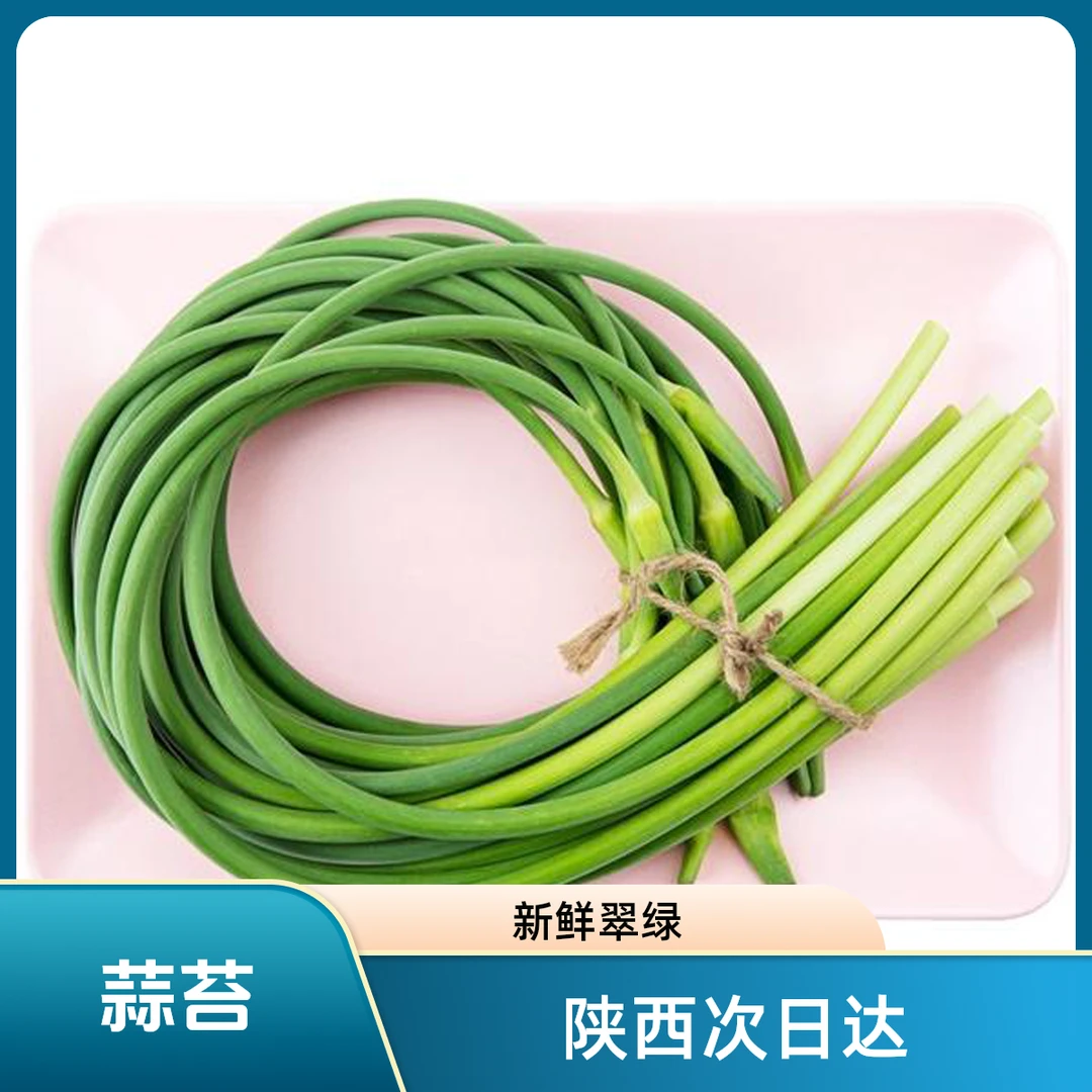 （陕西次日达）新鲜蒜苔300g  供应链直发