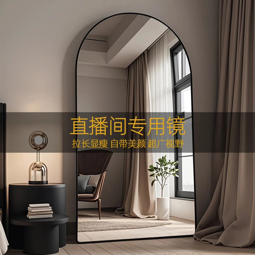 轻奢高级感穿衣镜全身落地家用女生卧室挂墙网红服装店试衣大镜子