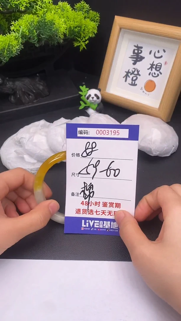 未镶嵌手镯翡翠0003195