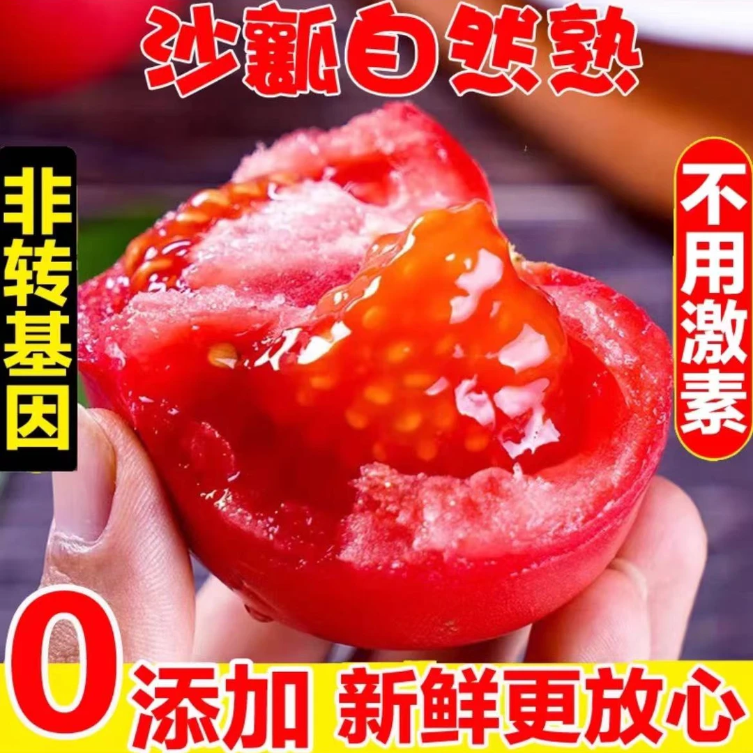 【陕西】普罗旺斯沙瓤西红柿3/4.5斤产地直发自然熟