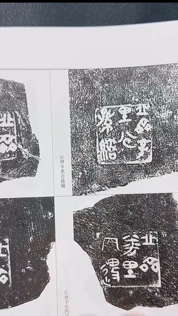 拓片用纸其他@@《新见玺印陶文拓本展图录》