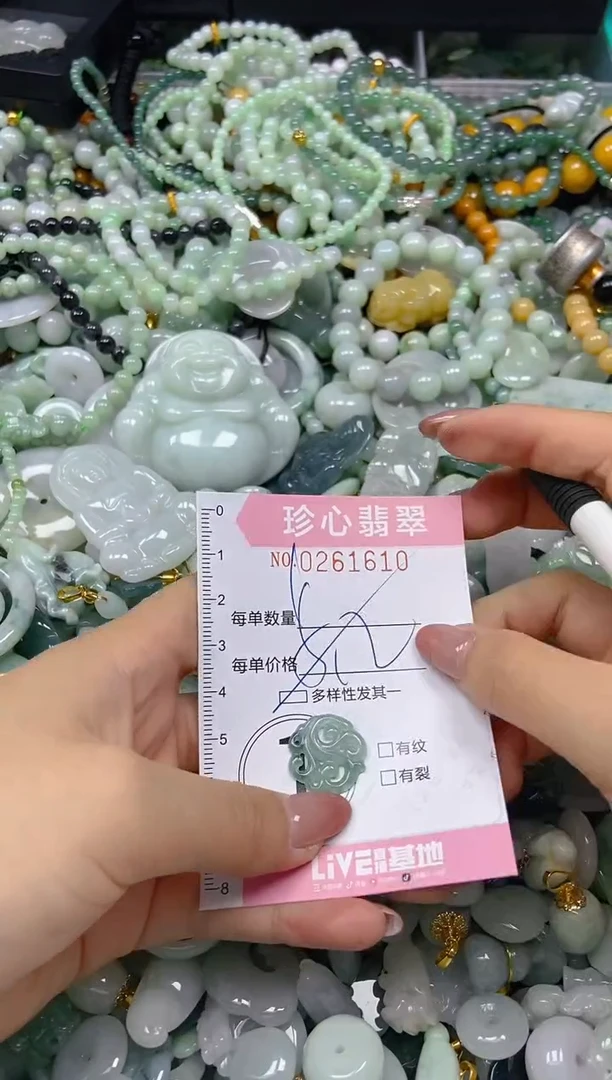 翡翠未镶嵌颈饰闪购0261610多样性发其一