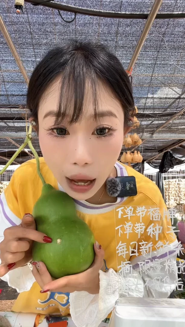 476天然葫芦摆件 一物一拍龙头不保售后