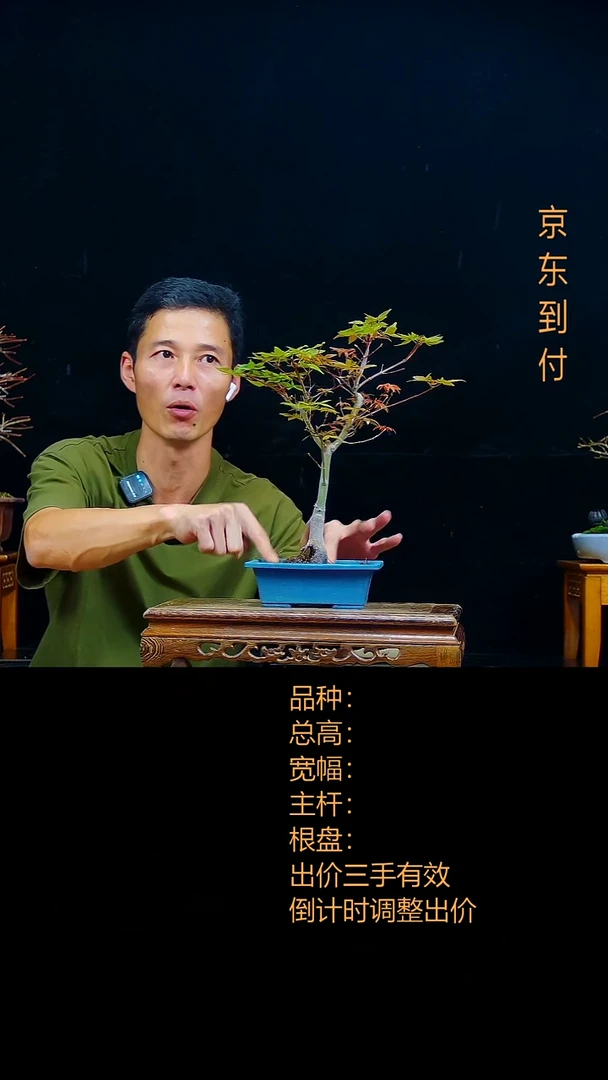 在*上00000000000出星星