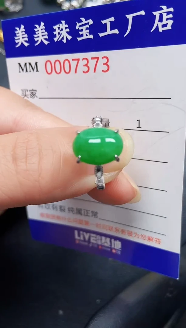 翡翠银S925镶嵌颈饰7373