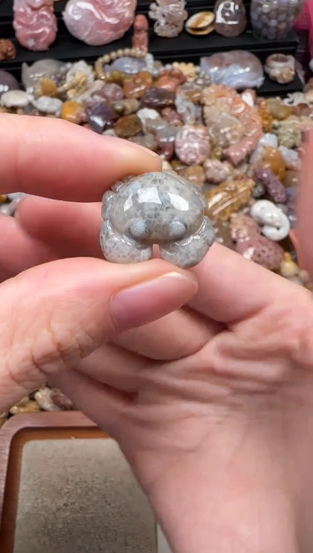 颈饰未镶嵌硅化珊瑚（珊瑚玉）735