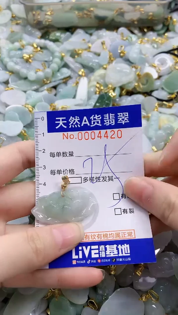 颈饰未镶嵌翡翠天然A货翡翠