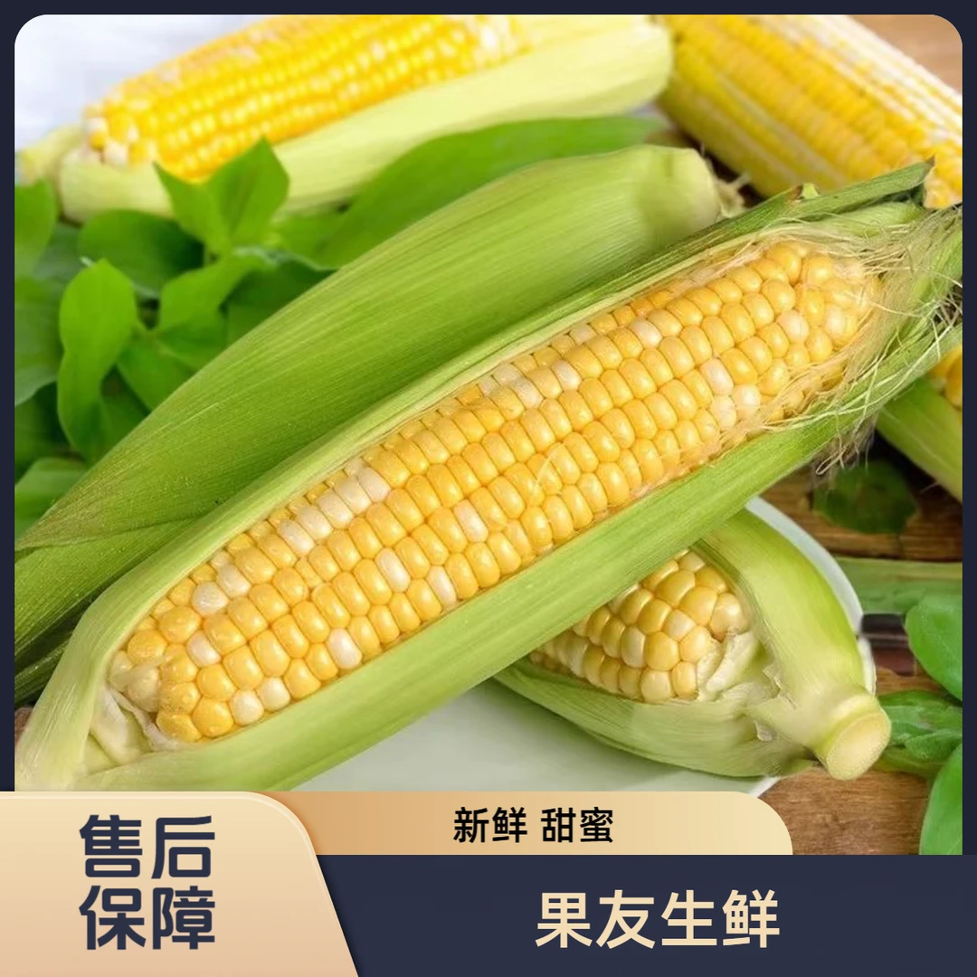 【糯甜水果玉米】新鲜美味 袋装 8根/1份 太原晋中吕梁拍