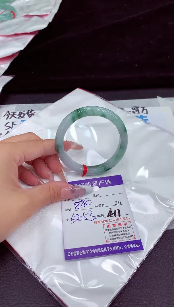 未镶嵌手镯翡翠1