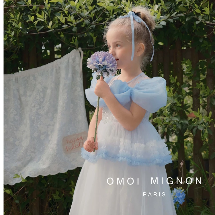 爱莎公主裙法式蓝色重工气质隆重主持钢琴演出礼服裙长款艾莎裙子