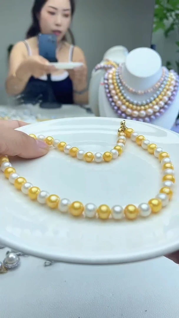 白蝶             1
