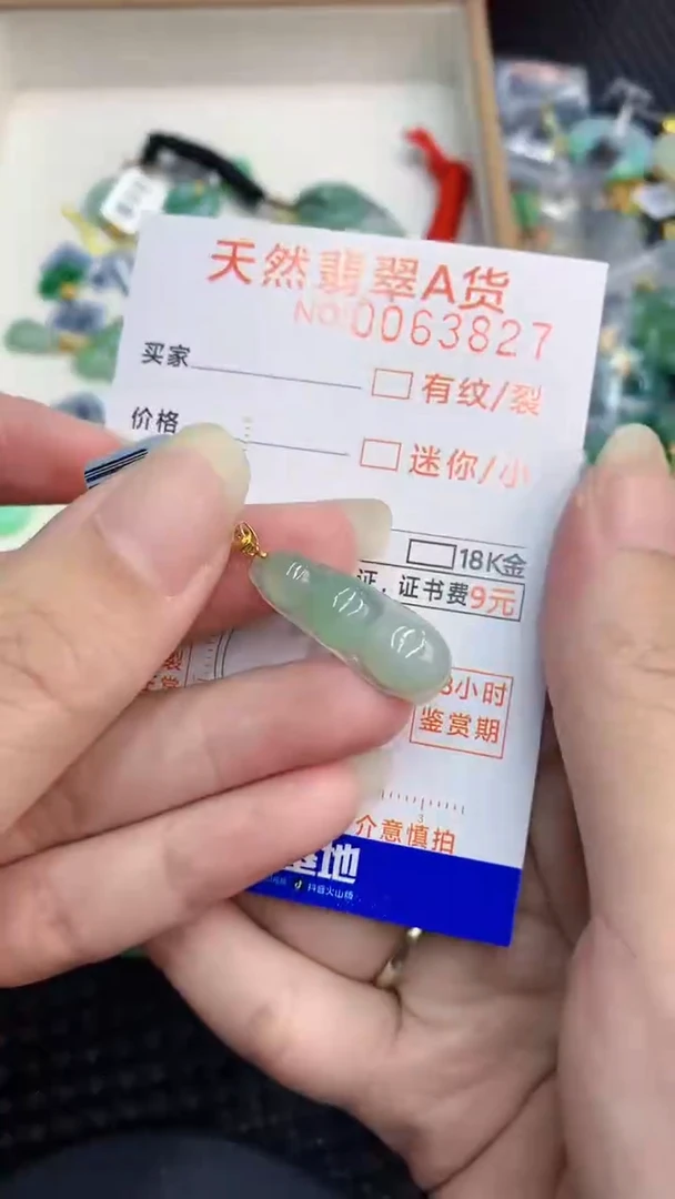 【闪购商品】翡翠颈饰18K金镶嵌            8