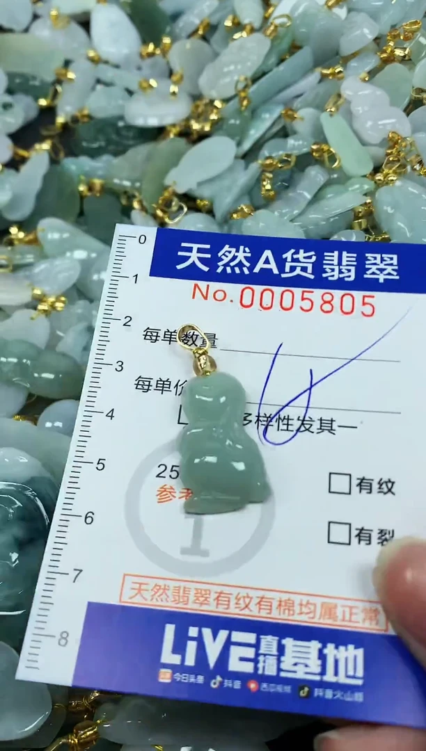 颈饰未镶嵌翡翠纯天然a货翡翠