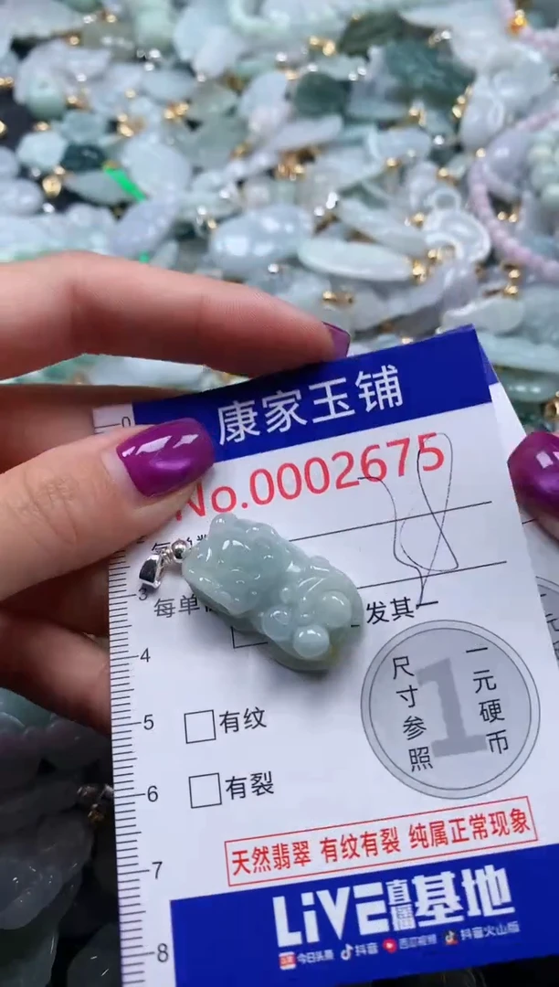 颈饰未镶嵌翡翠2675