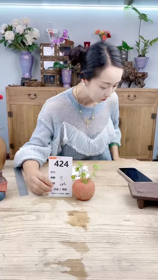 玩子花盆编号424