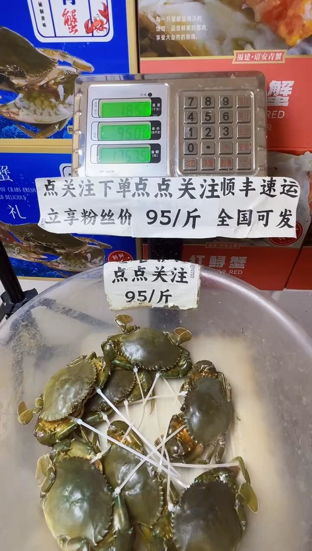 中国大陆福建漳州青蟹