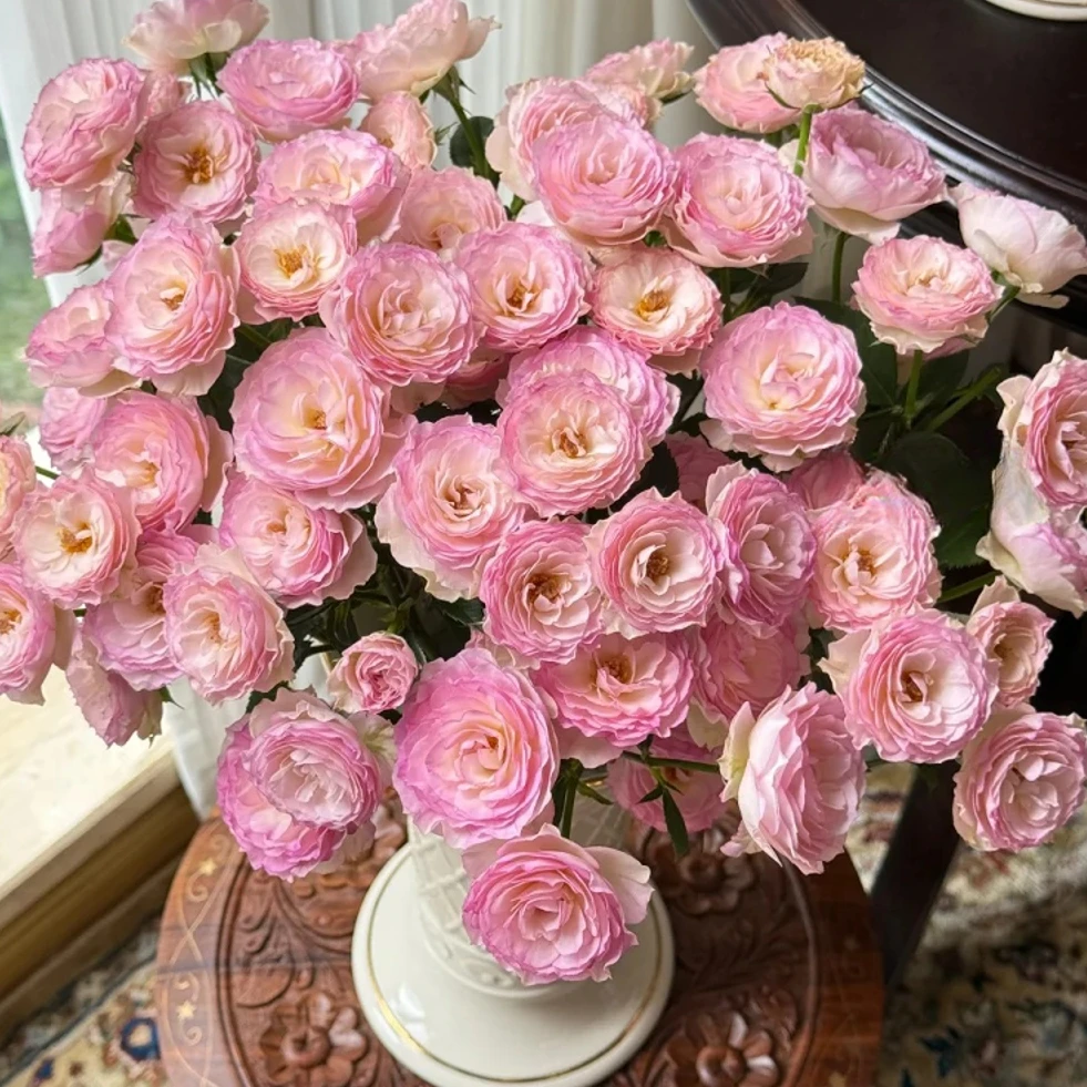 星簪【植末-多头玫瑰】1单中通包邮，3单顺丰冷链