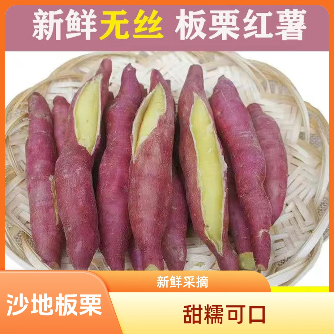 山西沙地板栗红薯蜜薯新鲜现挖农产品山地种植香甜粉糯地瓜整箱邮