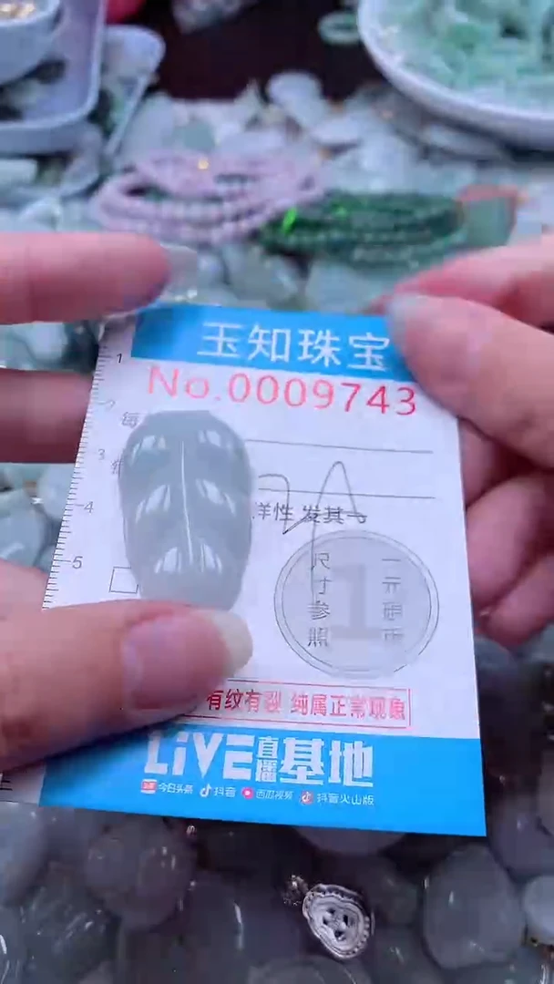 翡翠未镶嵌吊坠(不含链)9743