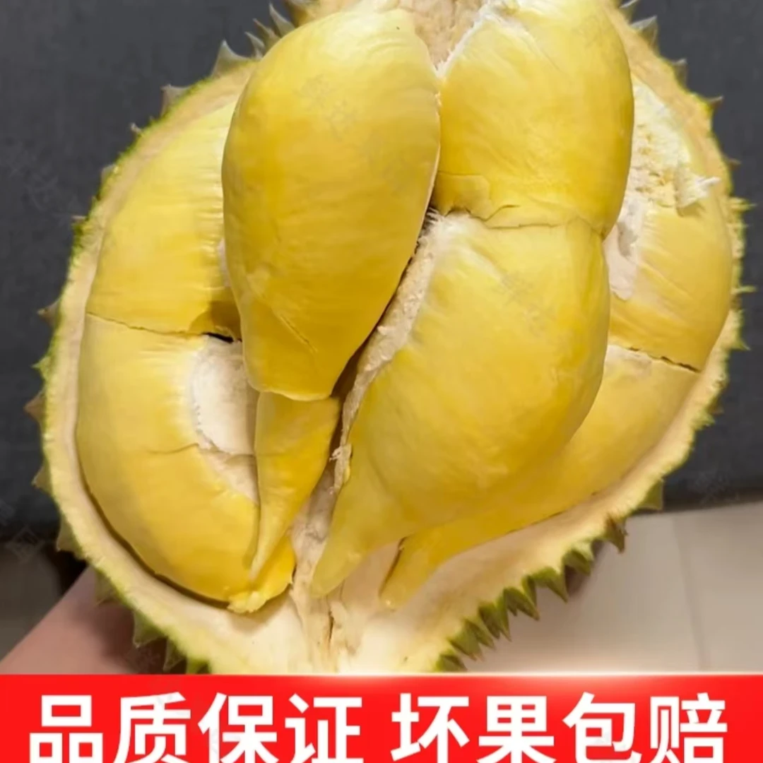 汪鲜森专属 泰国金枕冻榴莲肉纯肉有核不含包装净重500g/袋）A503