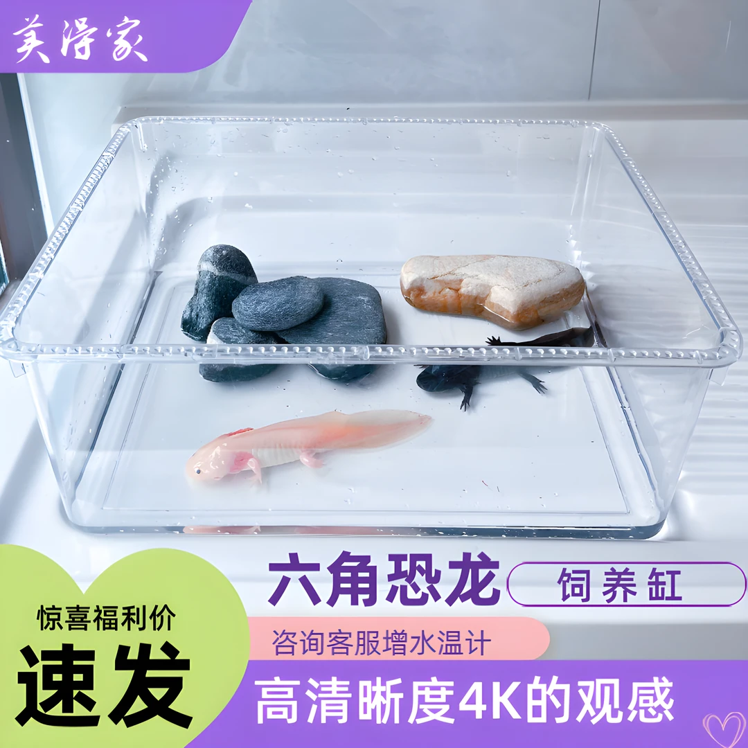 新款六角龙金鱼观赏鱼专用饲大容量生态造景缸鳄鱼养鱼缸超白家用