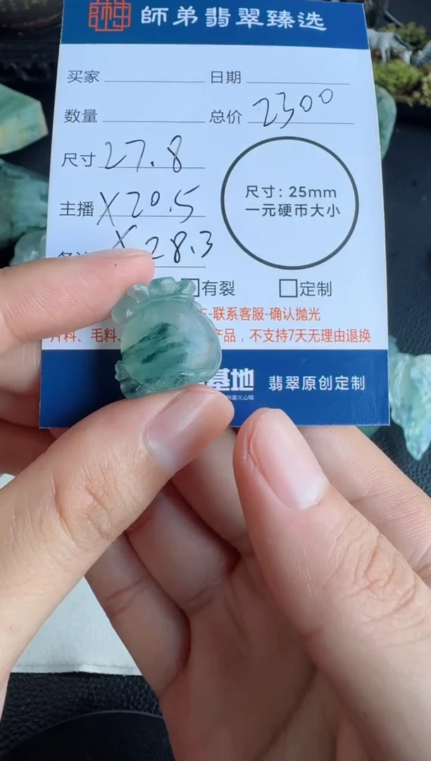 定制翡翠未镶嵌?**音钱袋