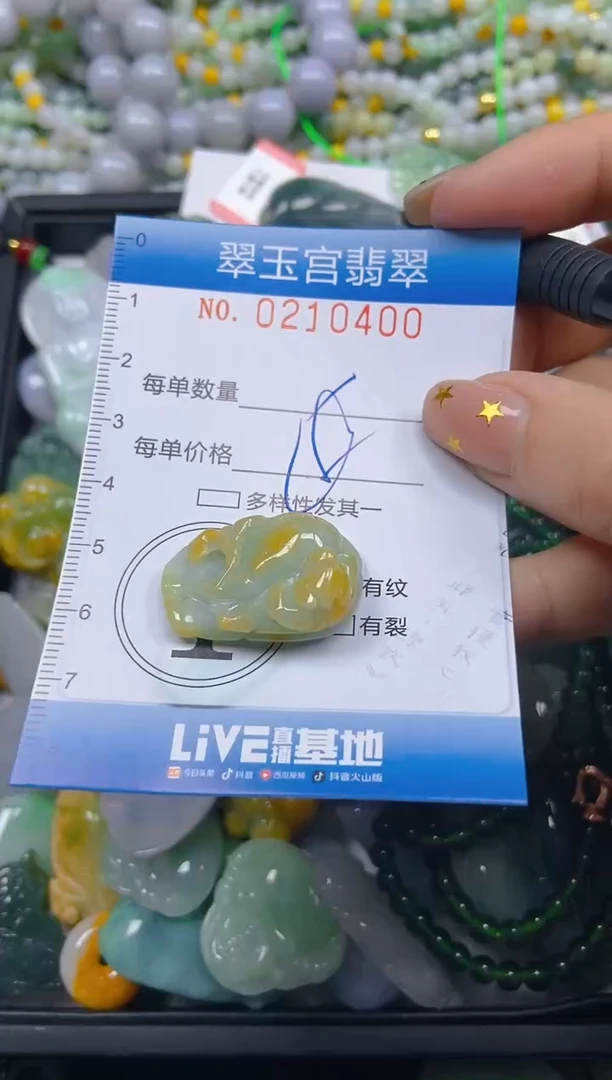 颈饰未镶嵌翡翠闪购C0210400