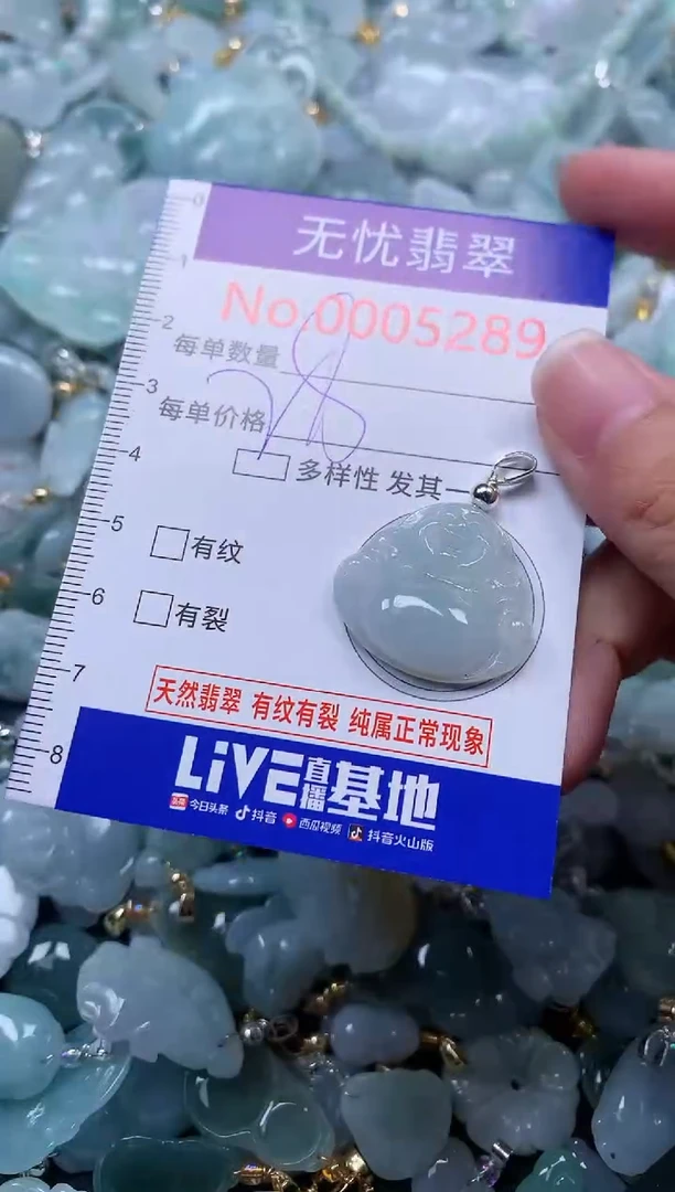 颈饰未镶嵌翡翠5289