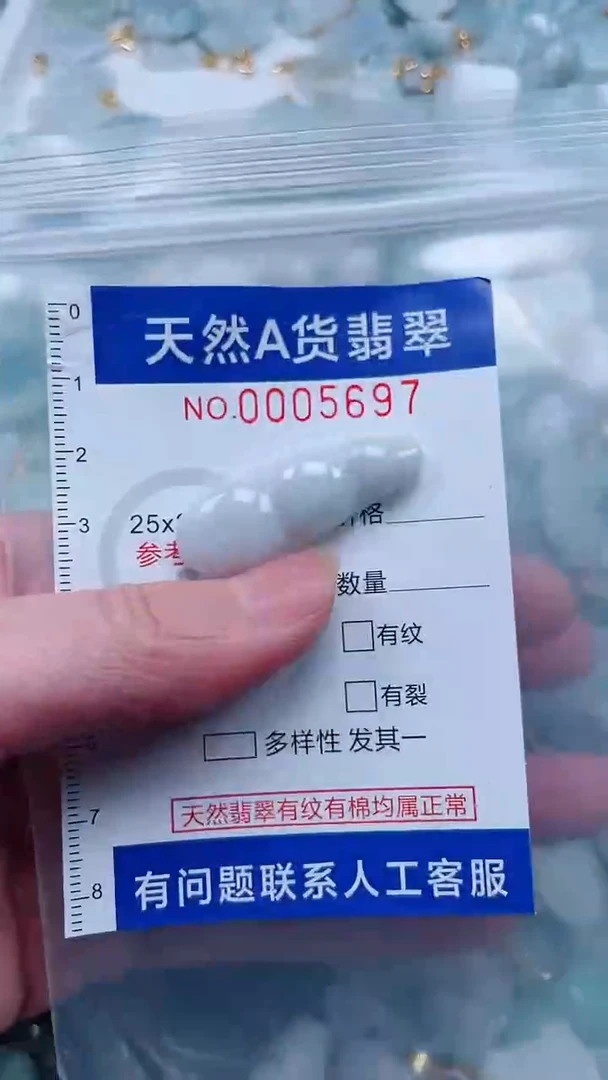 翡翠未镶嵌颈饰