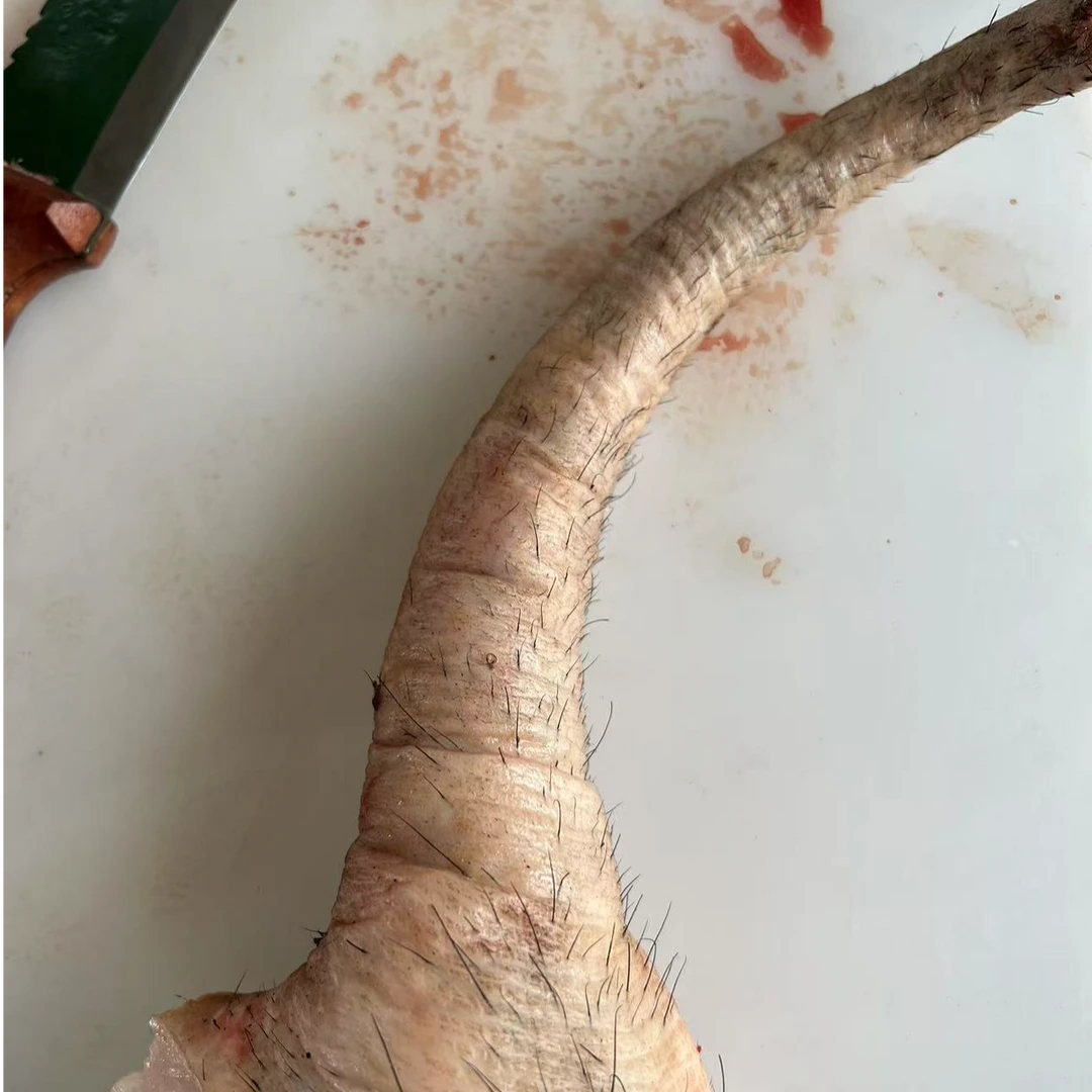 （尾巴）东北老品种黑猪现杀农家谷物散养两年顺丰包邮（现场称重）