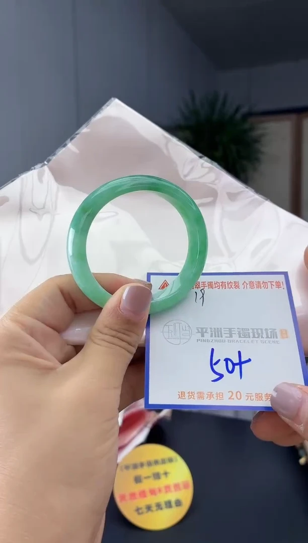 未镶嵌手镯翡翠111111111111