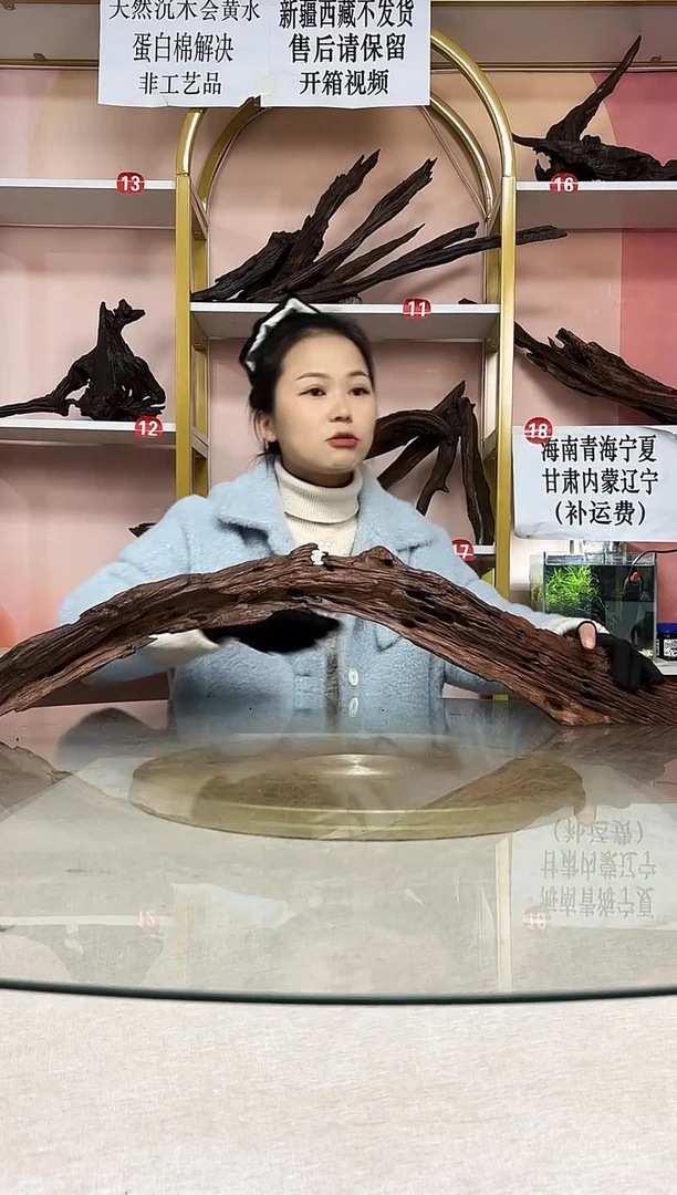 武****车鱼缸造景沉木A066