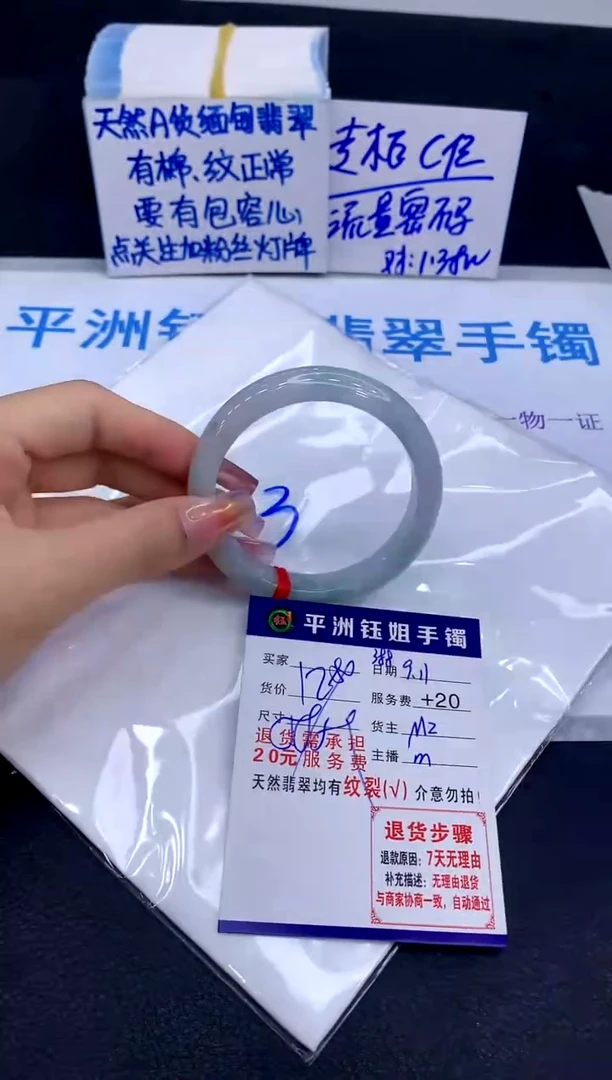 未镶嵌手镯翡翠11111