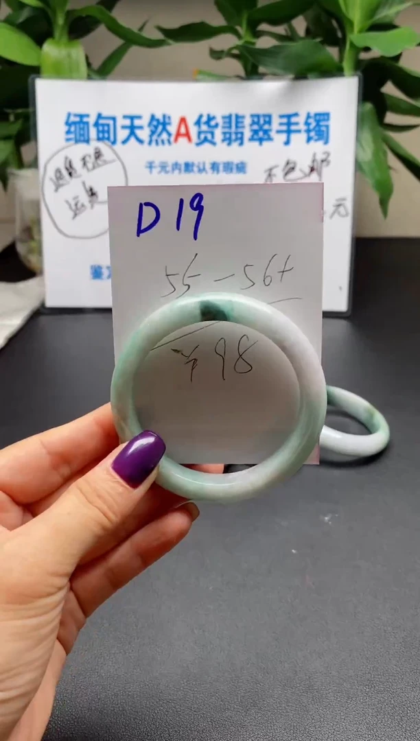 未镶嵌手镯翡翠白****屁19